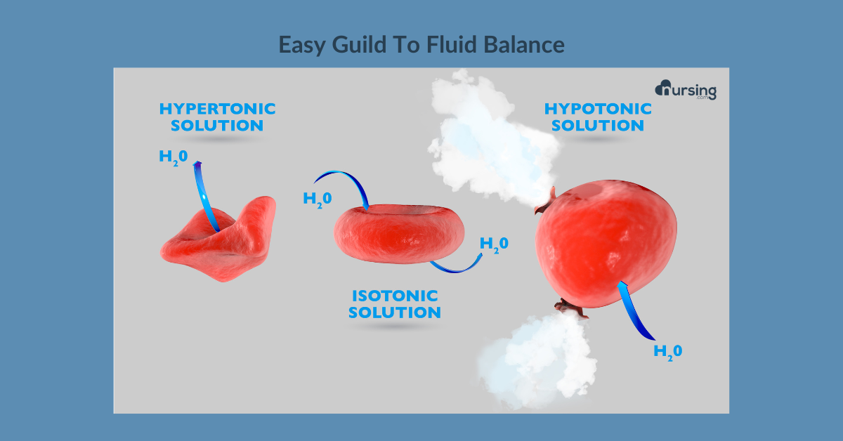 isotonic iso-cool total body comfort mattress topper